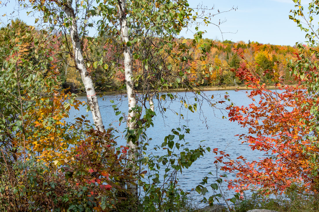 Lake with Fall Foliage